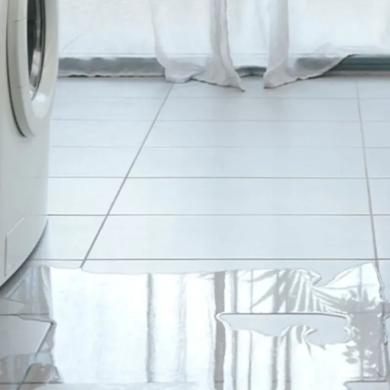 Appliance Leak Cleanup in Corinna, ME