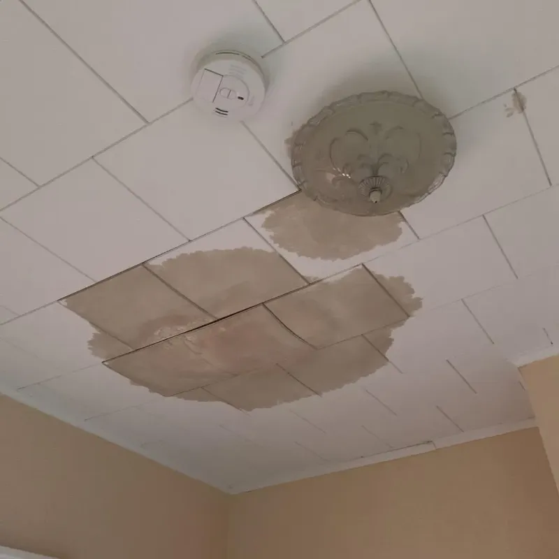 Ceiling Water Damage Repair in Corinna, ME