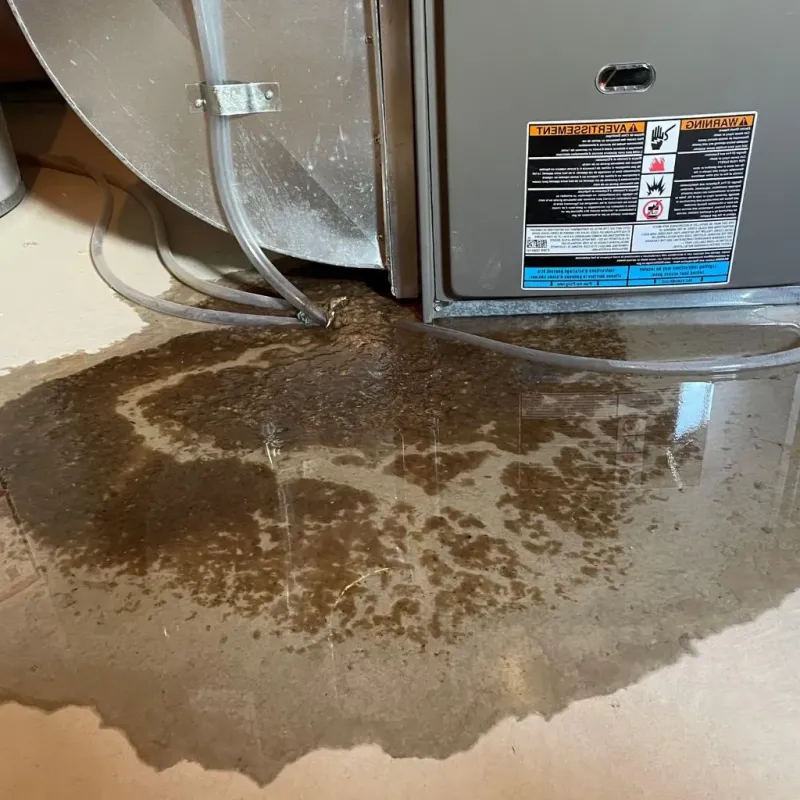 Pipe Burst and Leak Restoration in Corinna, ME