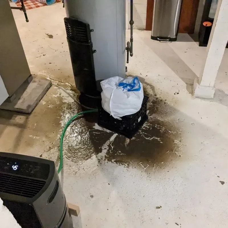 Sewage Backup Cleanup Service in Corinna, ME